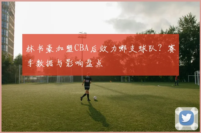 林书豪加盟CBA后效力哪支球队？赛季数据与影响盘点