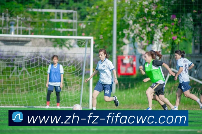 世界杯在线观看平台生态图