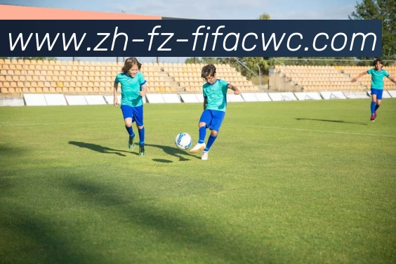 辅助工具 辅助工具