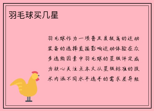 羽毛球买几星